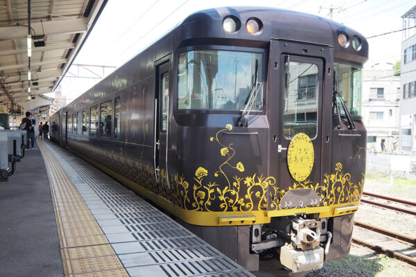 Large 20250725 01