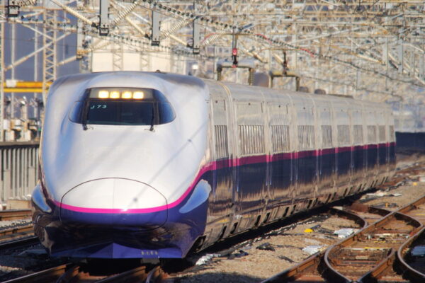 Large 20250814 001