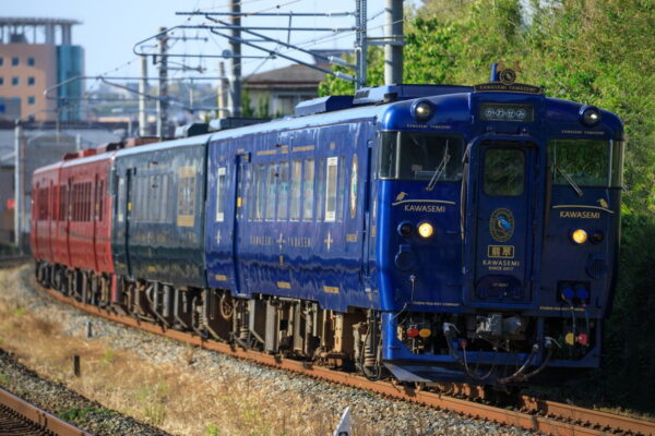 Large 20250817 01