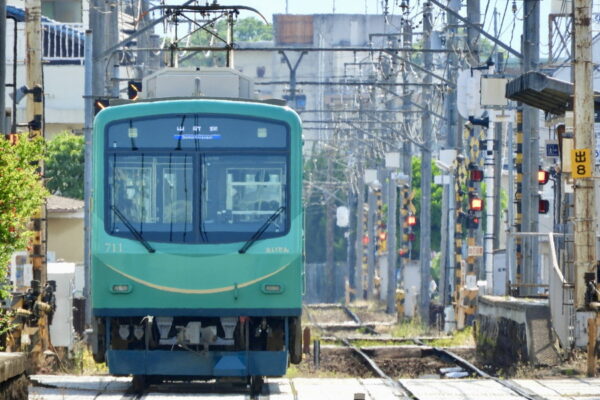 Large 20250807 01