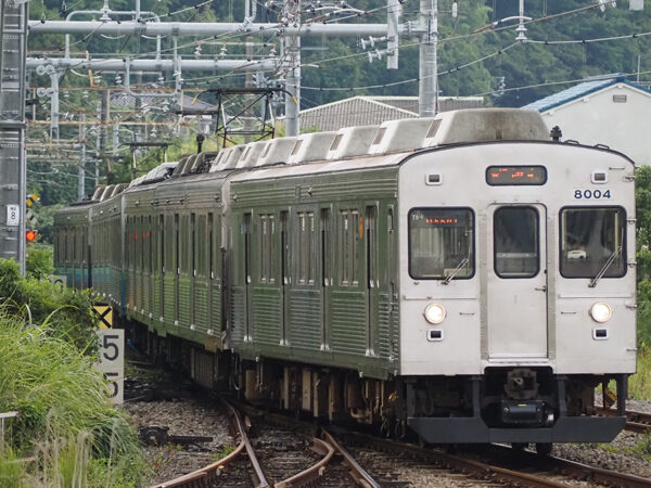 Large 20250817 01