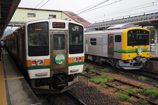 Large 20250813 01