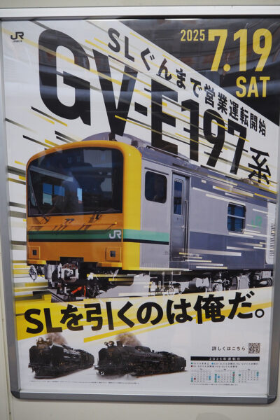 Large 20250813 01