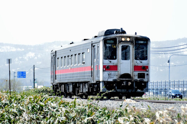 Large 20250817 01