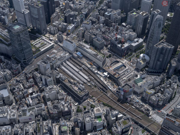 Large 20250829 01