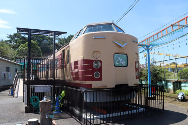 Large 20250824 01