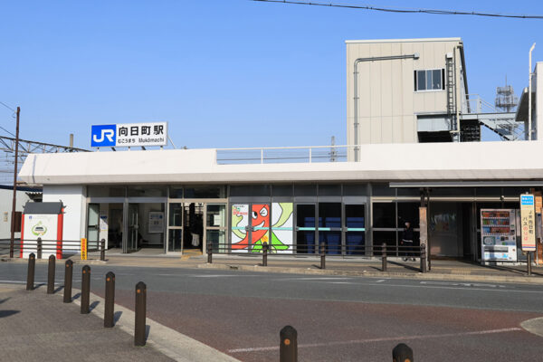 Large 20250829 01