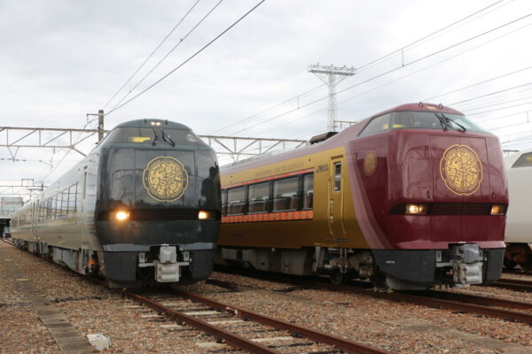 Large 20250929 01