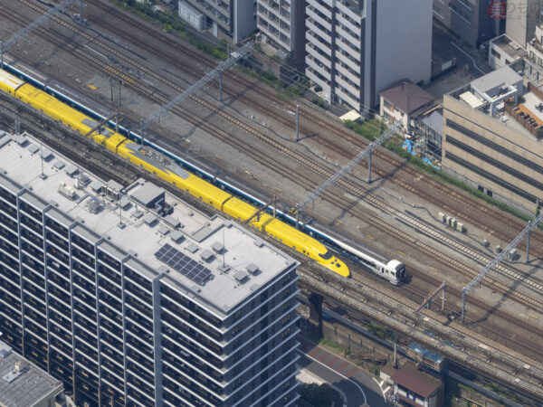 Large 20250919 01