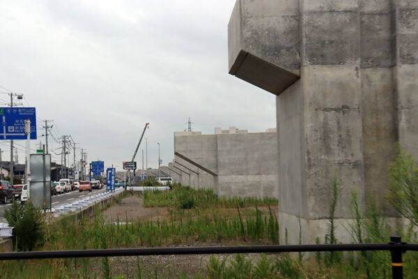 Large 20250913 01