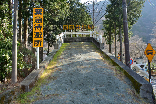 Large 20250914 01