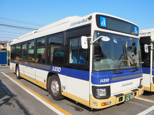 Large 20250922 01