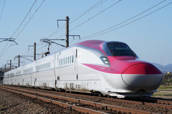 Large 20251009 01