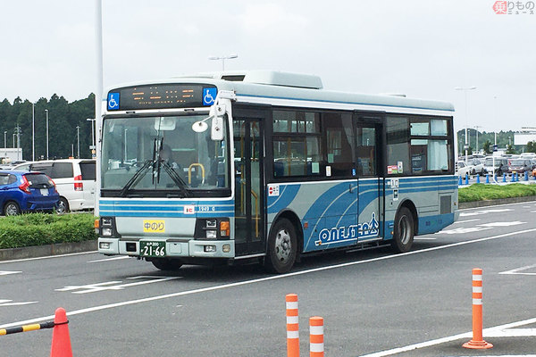 Large 20251003 01
