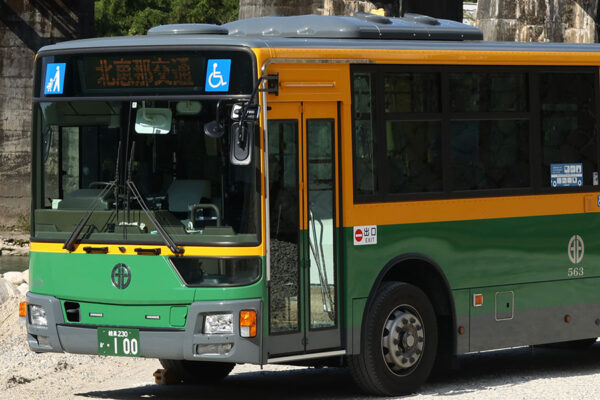 Large 20251008 01