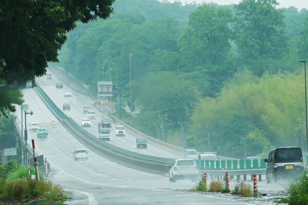 Large figure2 gallery19