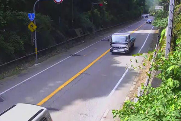 Large figure3 gallery20