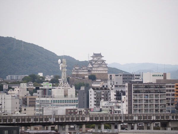 Large figure3 gallery19