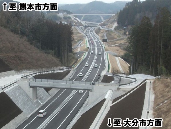 Large figure2 gallery25