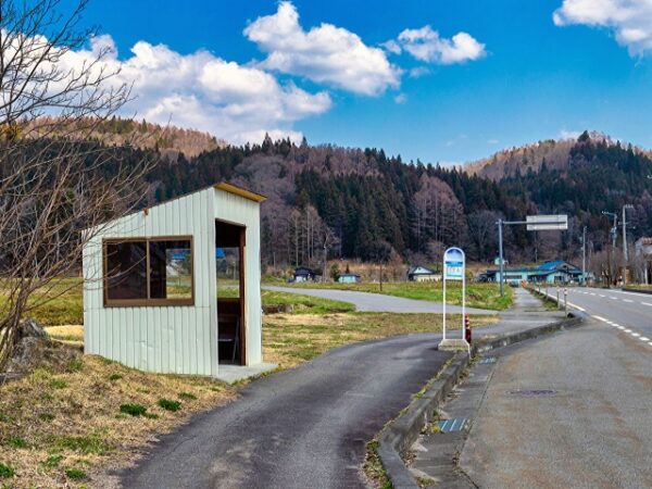 Large figure2 gallery11