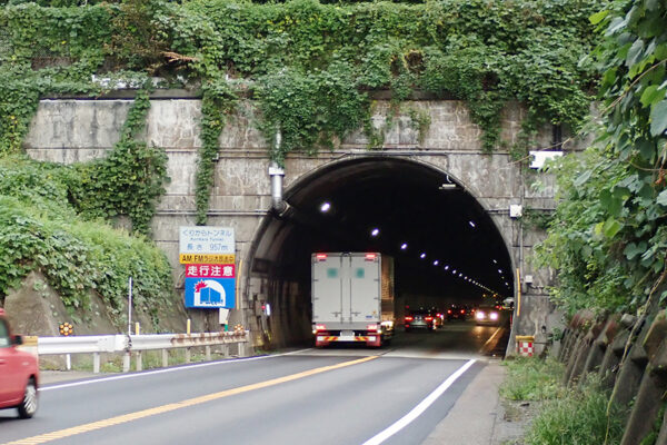 Large figure1 gallery9