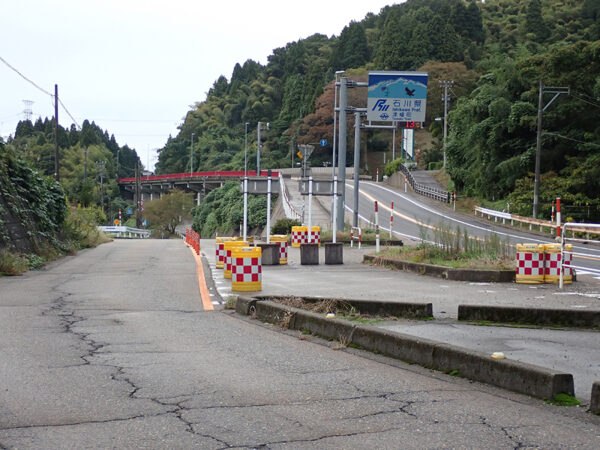 Large figure2 gallery10