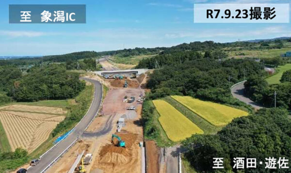 Large figure2 gallery19