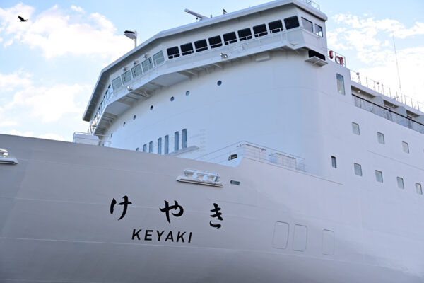 Large figure2 gallery2