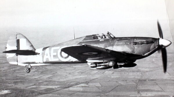 Large figure2 gallery6