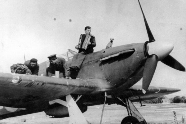 Large figure3 gallery7