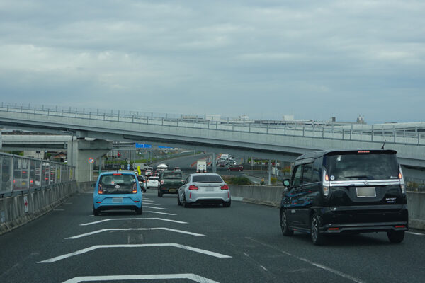 Large figure2 gallery19