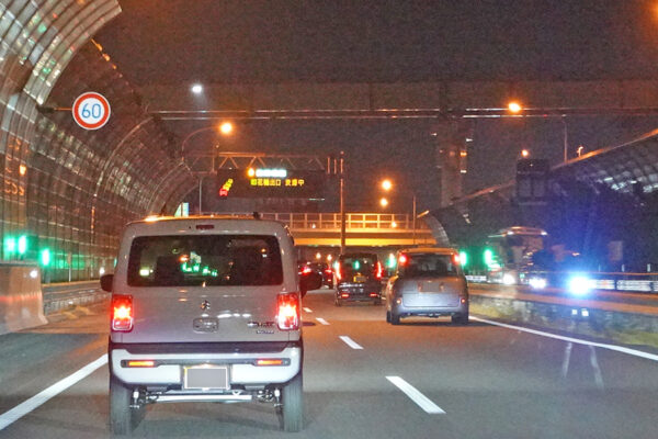 Large figure2 gallery10