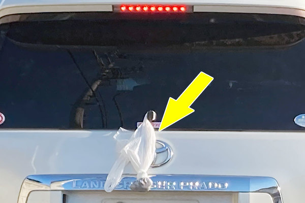 Large figure2 gallery6