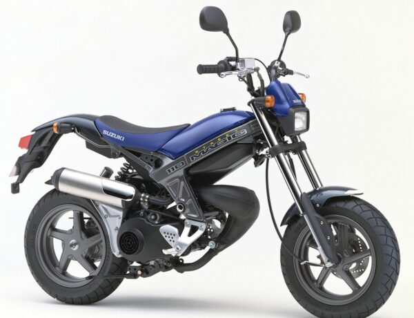 Large figure2 gallery6