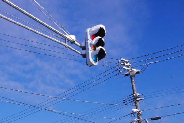 Large figure2 gallery15