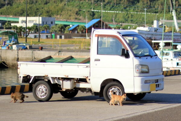Large figure2 gallery5