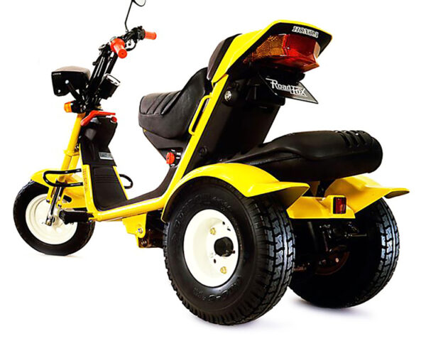 Large figure1 gallery8