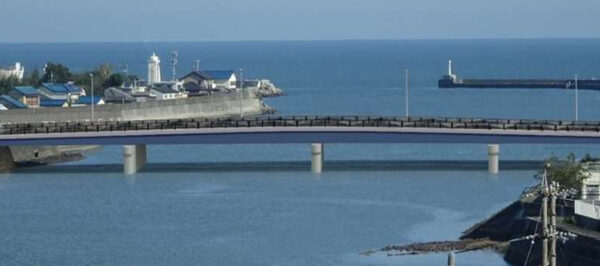 Large figure1 gallery13