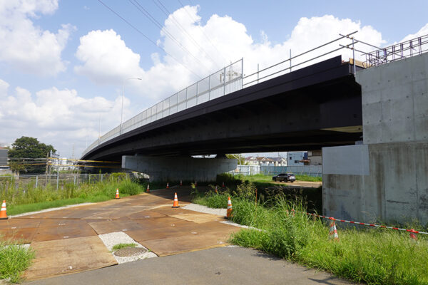 Large figure3 gallery16