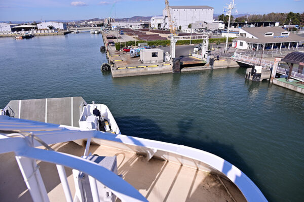 Large figure2 gallery34