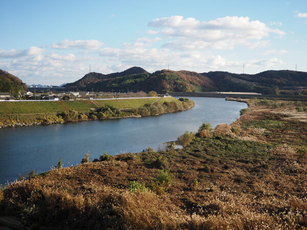 Large figure2 gallery13