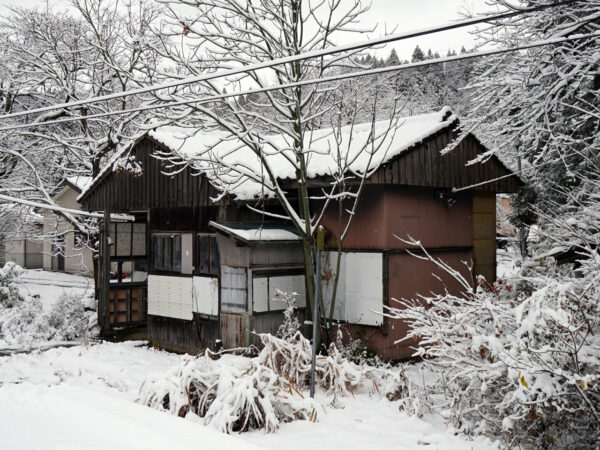 Large figure2 gallery32