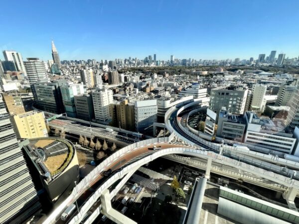 Large figure2 gallery12