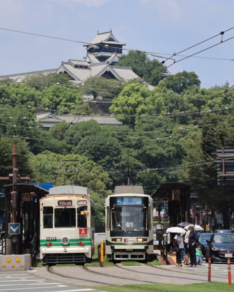 Large figure2 gallery9