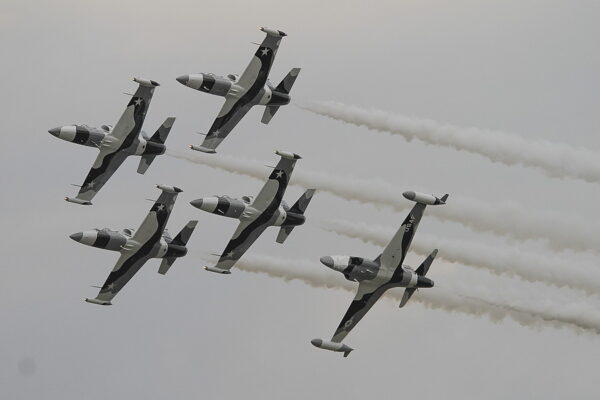 Large figure3 gallery4