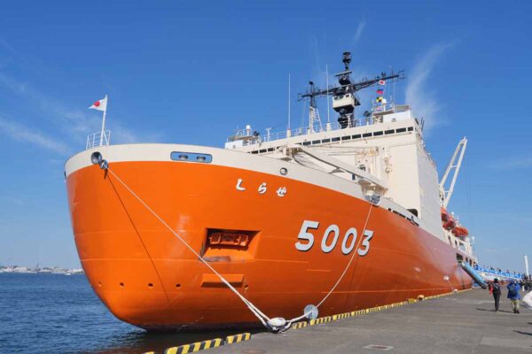 Large figure2 gallery7