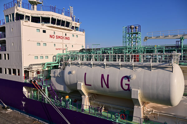 Large figure2 gallery25