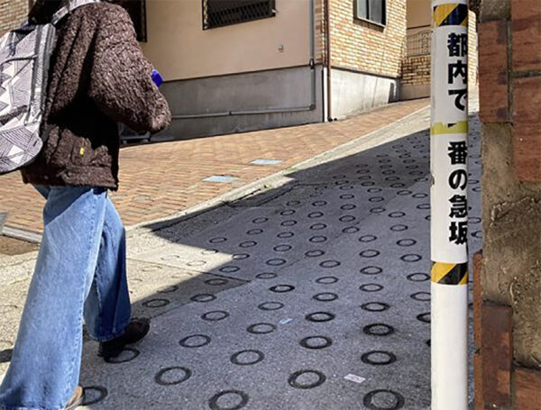 Large figure3 gallery21