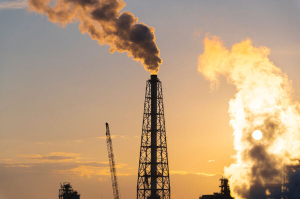 Large figure2 gallery10