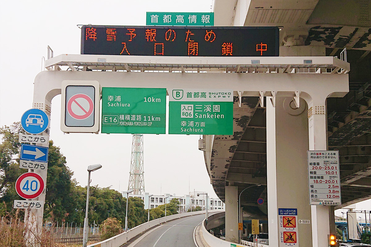 Large 20260303 00